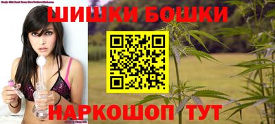 стафф Будённовск