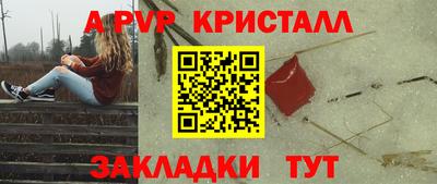 стафф Будённовск